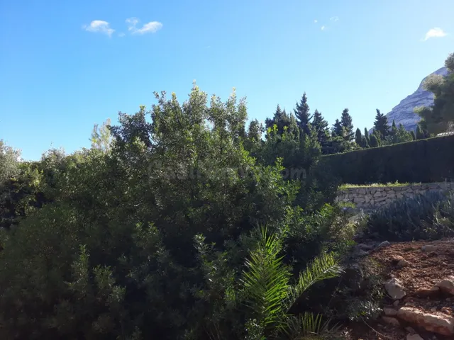 Parcela en zona Corral de calafat — 5