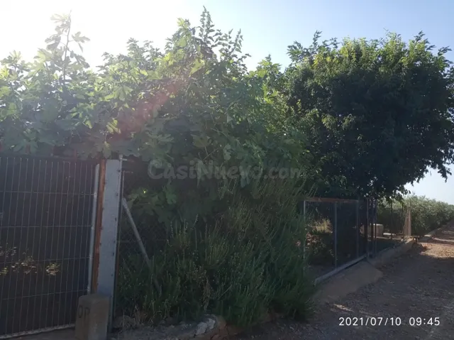 Terreno rural VENTA en Castellón zona NORTE, 3000 m. - foto 3