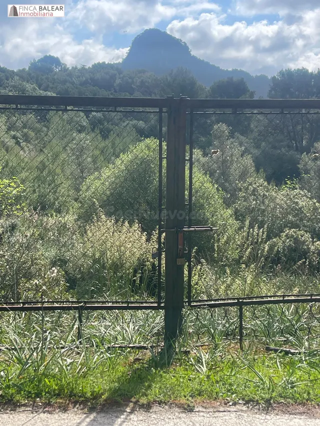 TERRENO RUSTICO EN GALILEA CON CASITA DE APEROS DE 20 M2 POR - foto 4