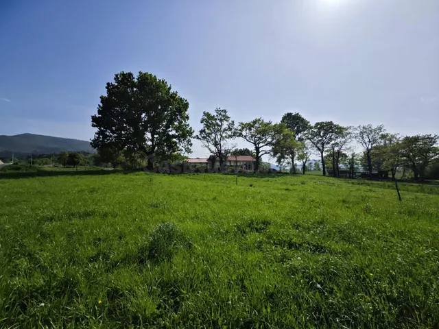 Finca rústica en venta en Villanueva de la Peña (Mazcuerras) - foto 3