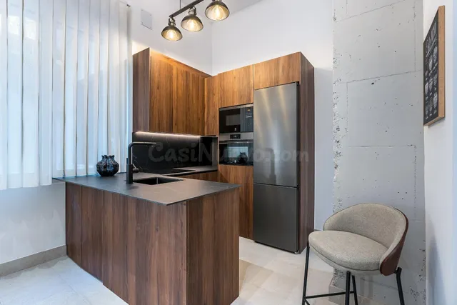 PRECIOSO ESTUDIO DE LUJO EN URBANIZACION TRIUNFO JARDIN — 4