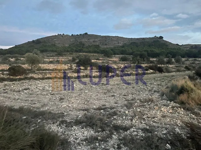 Finca Rústica en Agost 12.680m2 en el Ventor. - foto 5