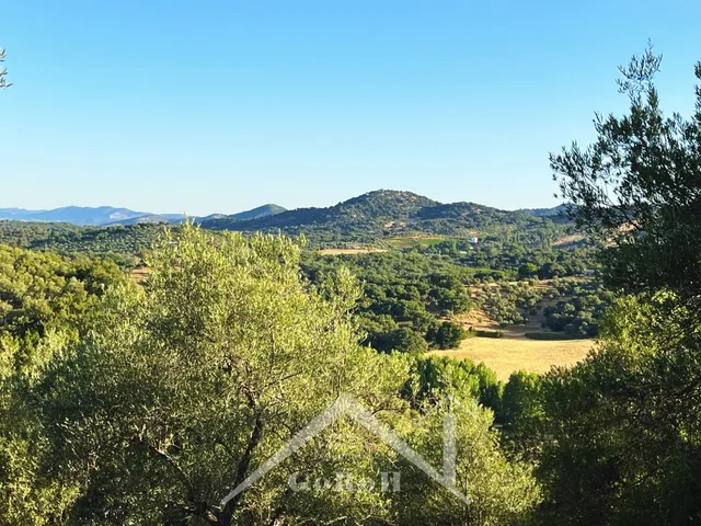 Suelo rústico en Venta en Constantina Sevilla — 13