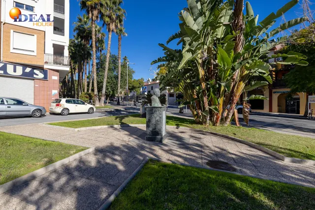 Local Comercial Avenida Enrique Martín Cuevas No.6 L8 — 29