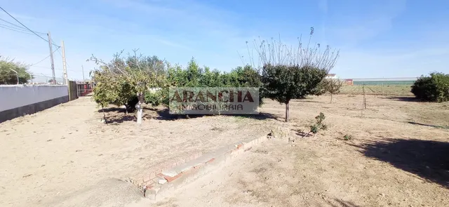 Chalet de 200m y dos naves en parcela de 6700 — 27