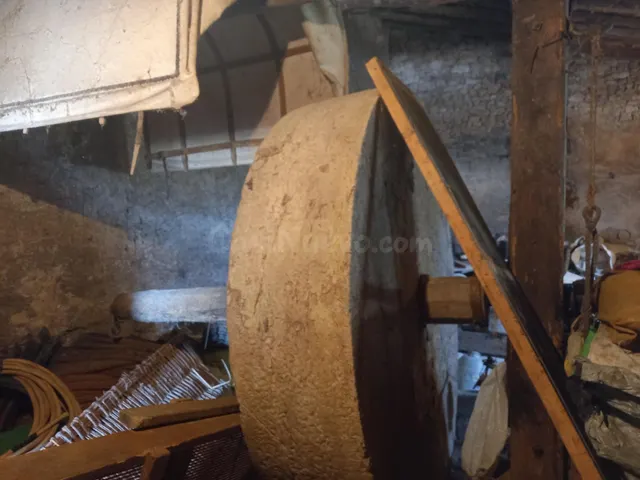 OPORTUNIDAD HACIENDA DE REGADIO CON MASIA Y CONTRUCCIONES HI - foto 2