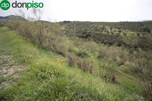 FINCA EN CORTIJO SAN JERÓNIMO (BARTODANO) — 37