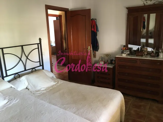 MAGNIFICO CASA CON TERRRENO EN ALCOLEA!! — 10