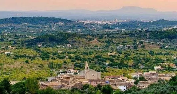 Amplio Piso en Inca - Oportunidad de Reforma con Vistas - foto 3