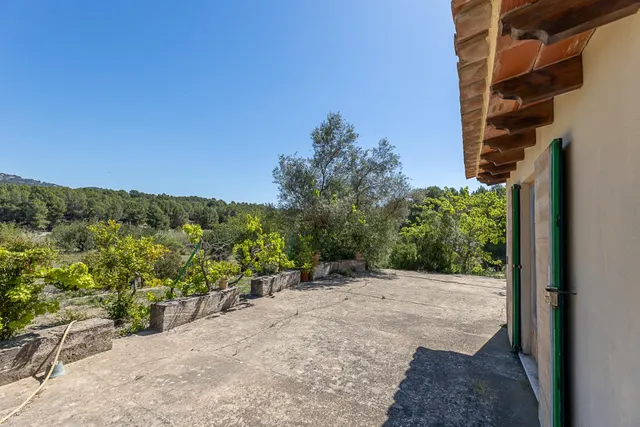 SE VENDE FANTASTICA FINCA RÚSTICA CON 35.000M2 DE TERRENO EN CALVIÀ — 46