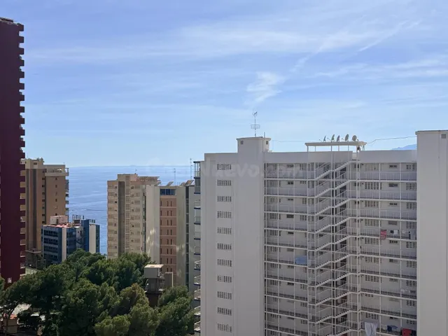 Estudio en zona del Rincon de Loix - foto 5