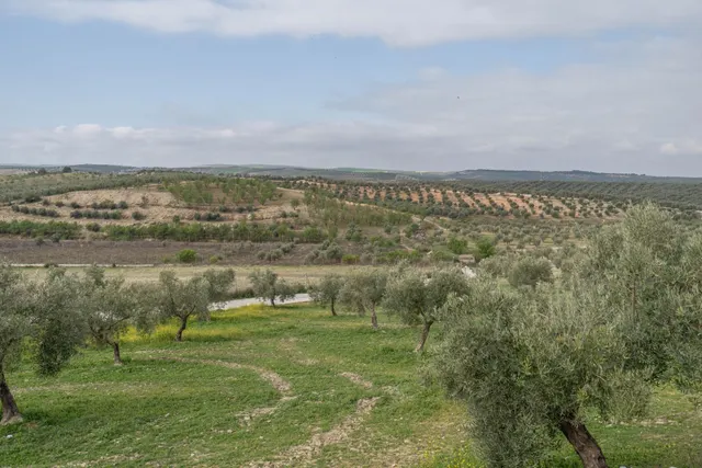 Parcela urbana de 985 m2 en Cúllar Vega (El Ventorrillo) — 19
