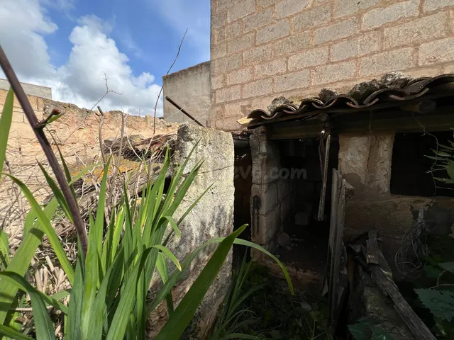 Oportunidad de Renovación en Muro, Mallorca - foto 2