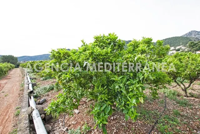 AMPLIA PARCELA URBANIZABLE PROXIMA ORBA CENTRO — 21