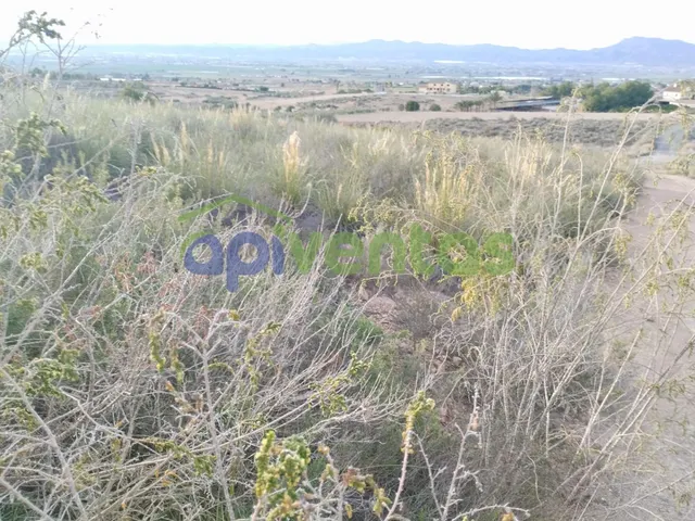 Terreno en el Alto  Purias — 3