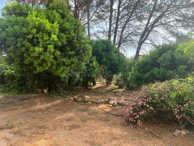 TU CASA CON TERRENO EN LA LLACUNA (VILLALONGA) - foto 3