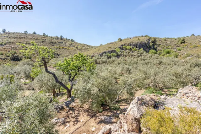 TERRENO EN PINOS DEL VALLE — 16