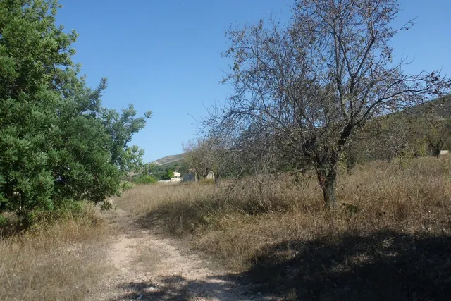 Finca La Farola Ontinyent — 11