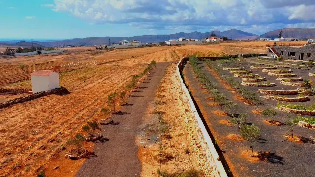 Finca de Lujo con Viñedo, Bodega Subterránea y Vistas Panorámicas al Atlántico — Fuerteventura — 15