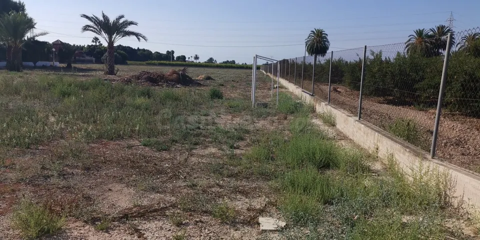 Terreno rural en Elche, 12000 m2
