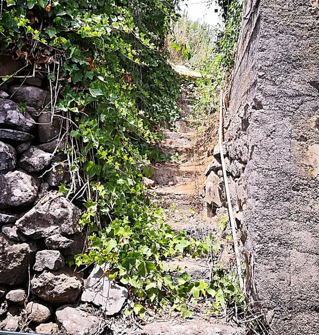 Solar Urbano San Mateo - foto 4