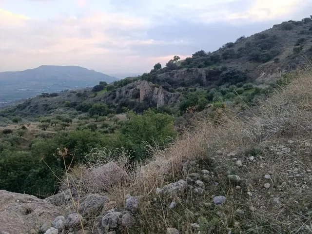 Parcela en venta - Alora pueblo — 8