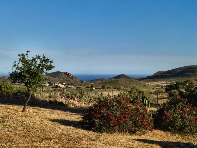 Refugio único con 3 viviendas, olivar y energía solar – Costa Cálida, Murcia — 19