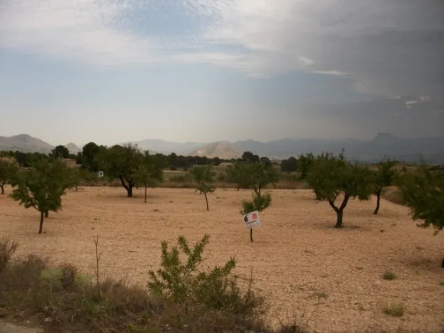 Parcela de 10.000 metros rural — 5