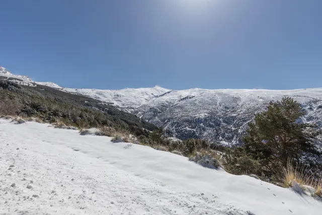 ¡acogedor apartamento en edificio atlas, en la zona baja de sierra nevada! — 31