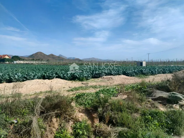 SE VENDE TERRENO RURAL EN MONFORTE DEL CID EN EL CAMINO SAN VICENTE — 2