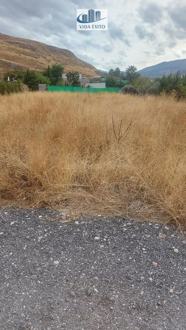 PARCELA EN PUENTE TABLAS - foto 2
