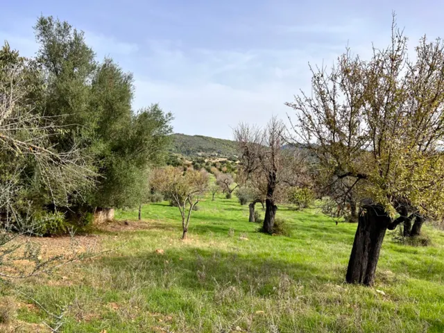 Finca rústica Campanet — 8