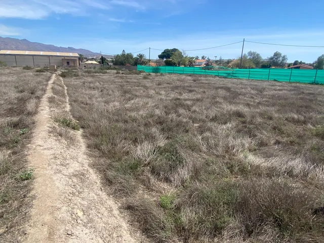 PARCELA ENTRE PECHINA Y VIATOR — 4