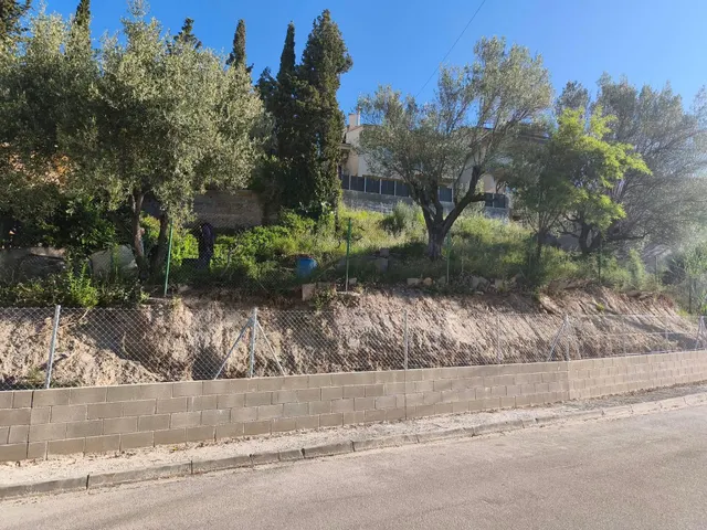 TERRENO EDIFICABLE ZONA DAINA - foto 4