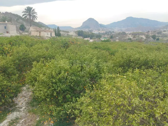 ¡Descubra una oportunidad única en el corazón del Valle de R - foto 5