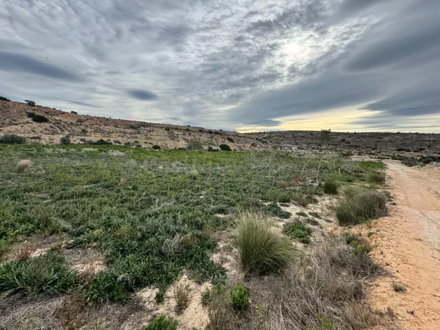 FINCA RUSTICA DE 23000M2 DONDE SE PUEDE EDIFICAR UNA CASA DE - foto 4