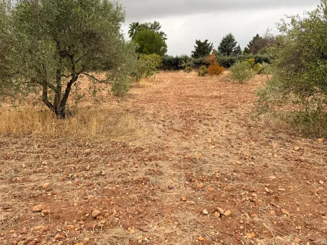 PARCELA EN VENTA – BADAJOZ - foto 3