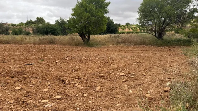 Parcela de Terreno Urbano en venta en Fuentealbilla, Albacet - foto 3