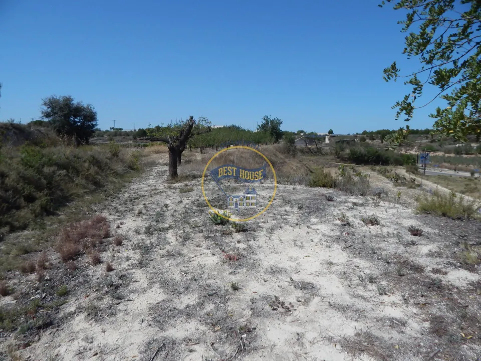 TERRENO EN PRODUCCIÓN CON PEQUEÑA CONSTRUCCIÓN EN PALOMAR(VALENCIA)