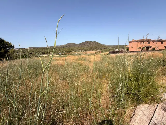 PARCELA EN VENTA EN LAS PEDRERES SANTA OLIVA — 8