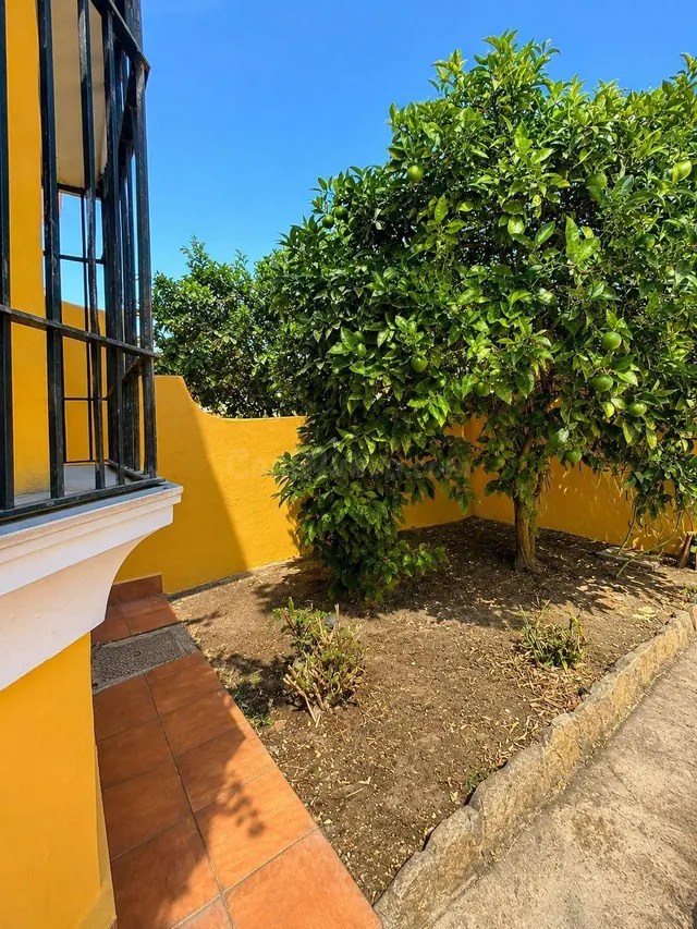 ADOSADO CON GRAN PATIO EN RINCONCILLO — 4