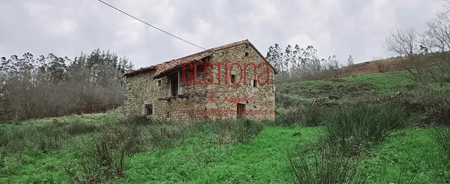 CABAÑA CON ARROYO, PROYECTO Y CAMBIO DE USO EN LLANOS. PENAG - foto 3