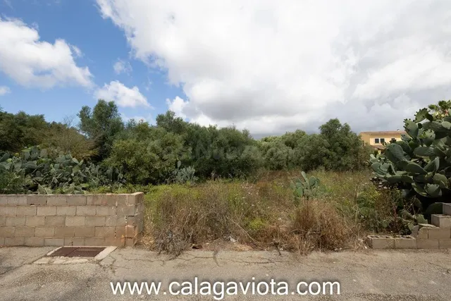 Amplio solar urbano en Ses Salines - foto 4