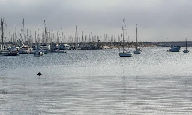 Ático reformado con vistas al mar, enorme terraza y piscina a 50 m de la playa en Torrevieja — 46