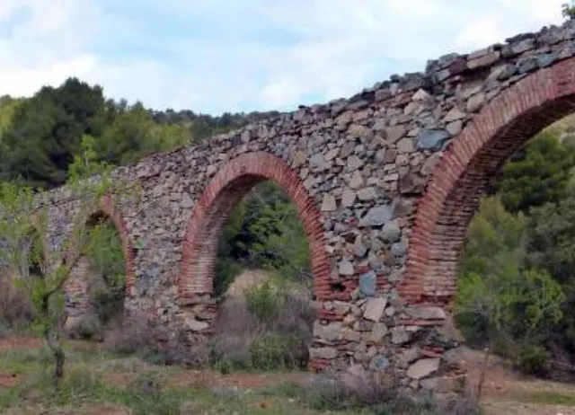 TERRENO RÚSTICO DE SECANO DE AVELLANOS - RIUDECOLS — 20