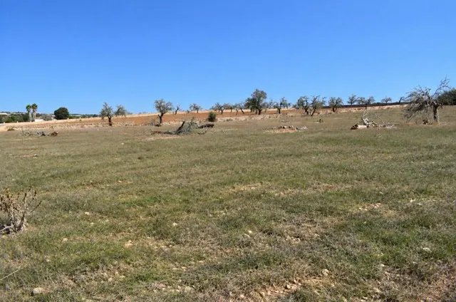 Finca rústica con posibilidad de vivienda en Ariany — 11