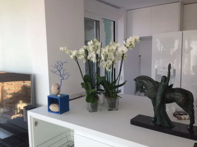 Piso de diseño con Vistas a Mar y Barcerlona — 11