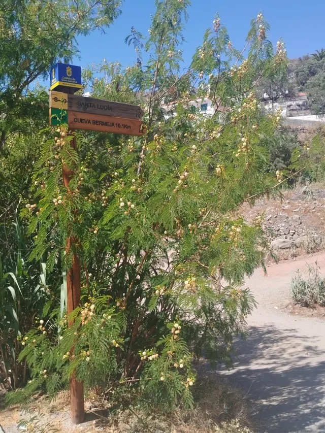 Casa en venta en Temisas — 15