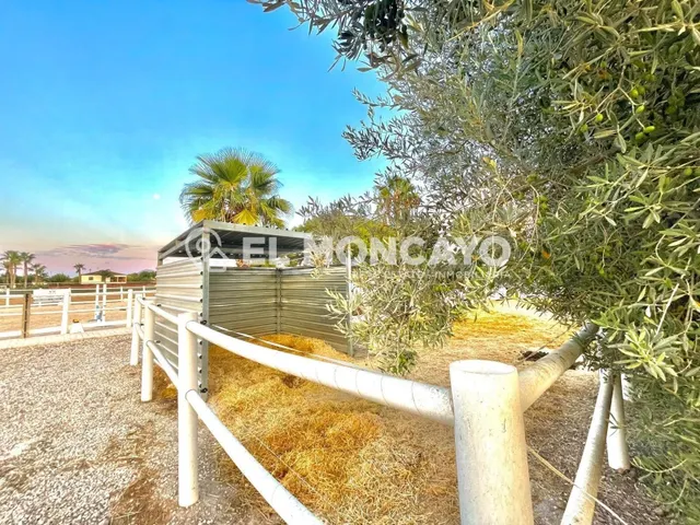 Fantástica finca rústica con piscina privada e instalaciones para caballos junto al Parc Natural del Fond en Dolores, Alicante — 9