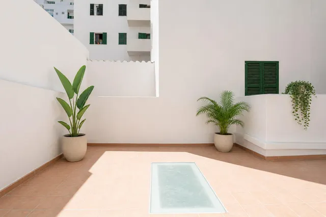 Magnífico primer piso reformado con terraza — 15